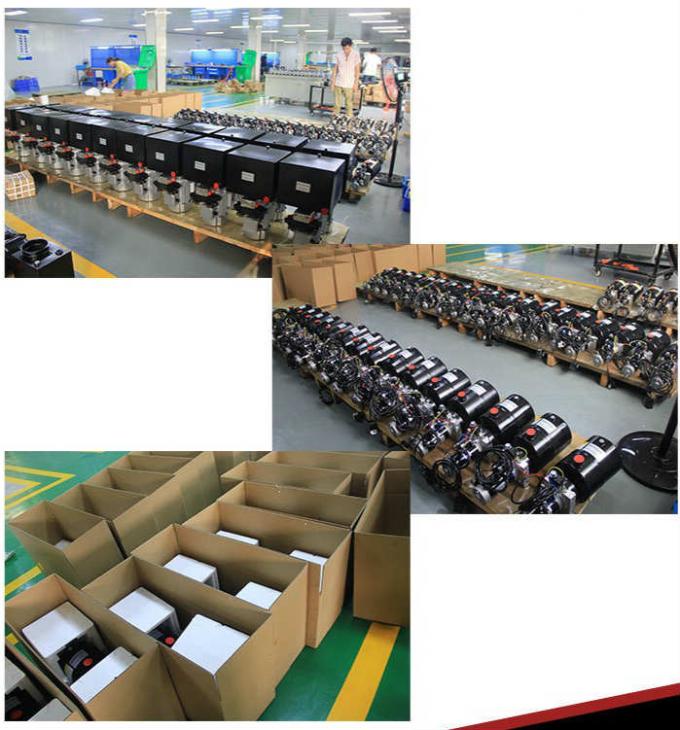 DC 24V 2KW 철사 제어 개폐기를 가진 작은 수력 팩 단위